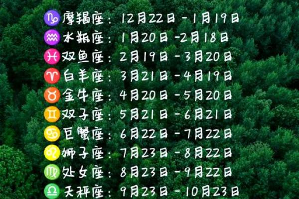 12上升星座男性格