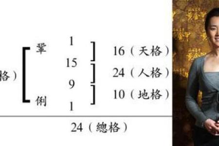 宠物用品店名字-姓名学-华易算命网姓名