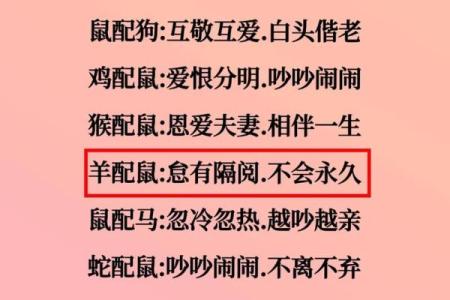 老鼠和什么属相最配对 老鼠和哪个属相最佳配对