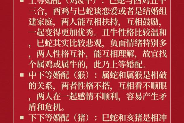 属龙男和属蛇女相配吗 属龙男配对的属相婚配表