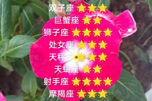 四月份是什么星座的然后告诉你是白羊座金牛座