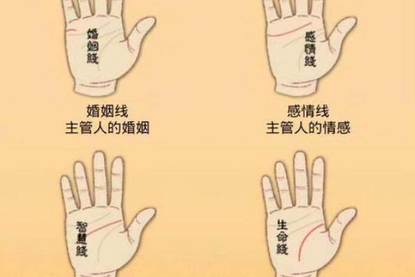 手相算命图解指纹的奥秘