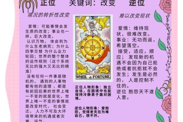 塔罗测试：十一月事业运？