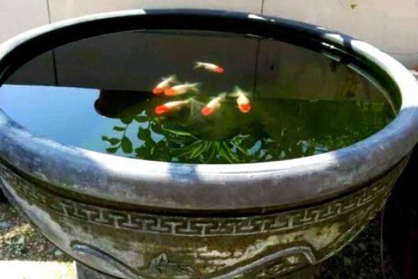西边有池塘风水