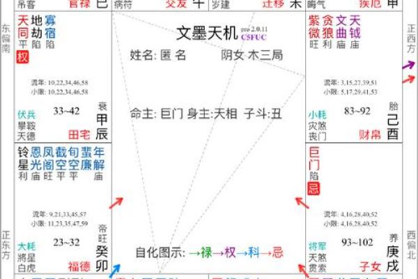 庄式紫薇斗数排盘
