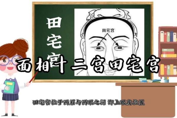 面相算命图解十二宫之：田宅宫