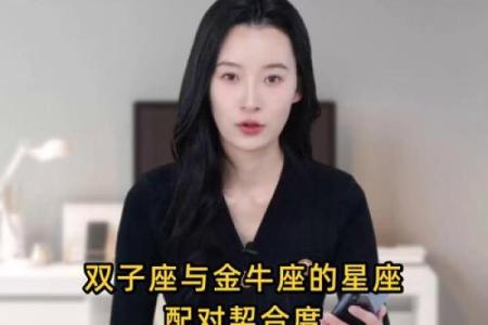 金牛座双子座 金牛座与双子座配对如何