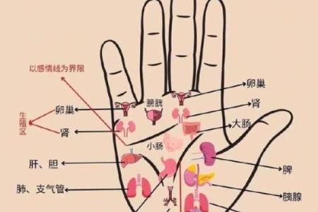 手上胎记算命图解