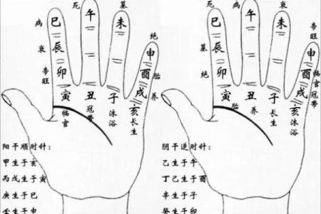 女孩八字多金怎样算命？教你八字排盘解读！
