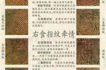 手相算命图解指纹的奥秘