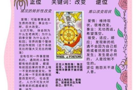 塔罗测试：十一月事业运？