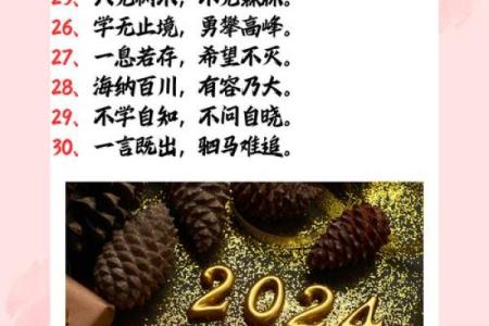 2024龙年寒衣节出生的男宝宝五行查询 八字是什么