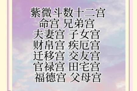 紫微斗数宫怎么才算动 紫微斗数基础教学 宫位篇？