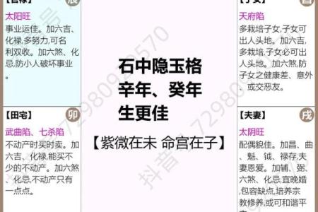 紫微斗数之子女宫与诸星，贪狼星在子女宫是什么意思？