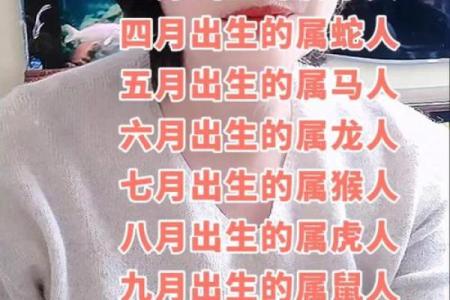 2月份出生的属鸡男孩起什么名字好姓名