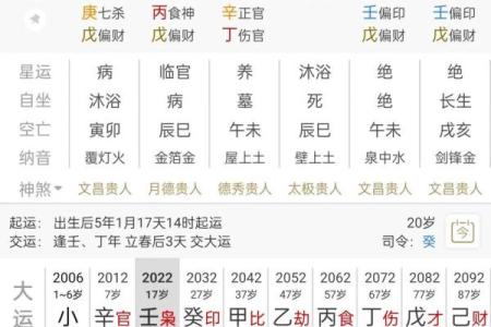 98年5月20生辰八字