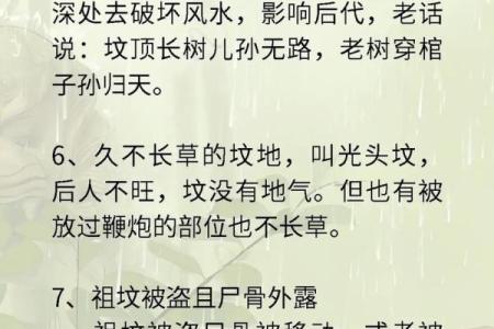 坟墓风水知识大全！