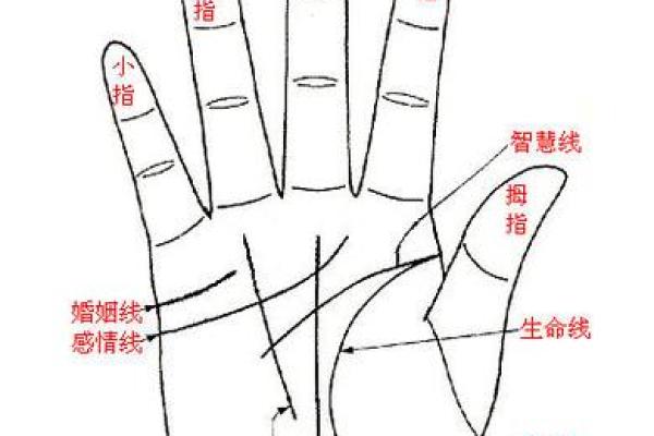 图解;手相赌运纹算命
