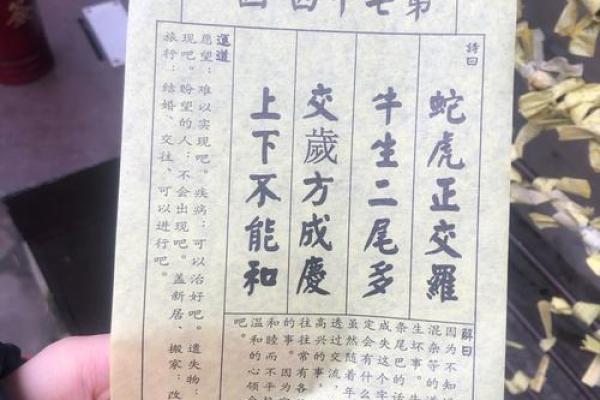 抽签解签月老