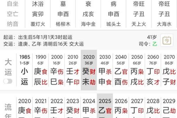 八字地支为亥的女命