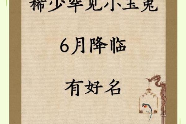 早上出生属兔的男孩应该怎样取名字呢姓名