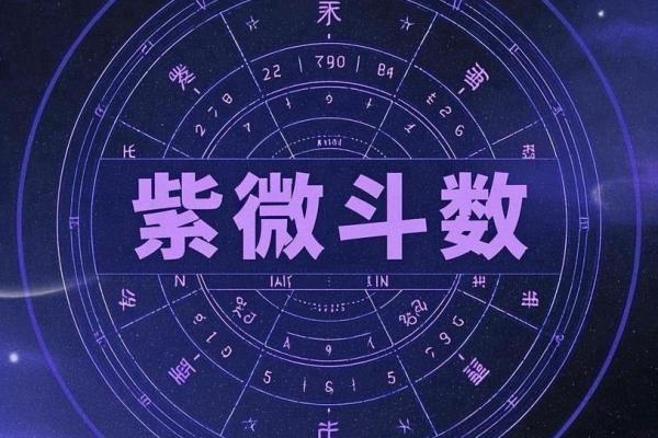 紫薇斗数看谁漂亮