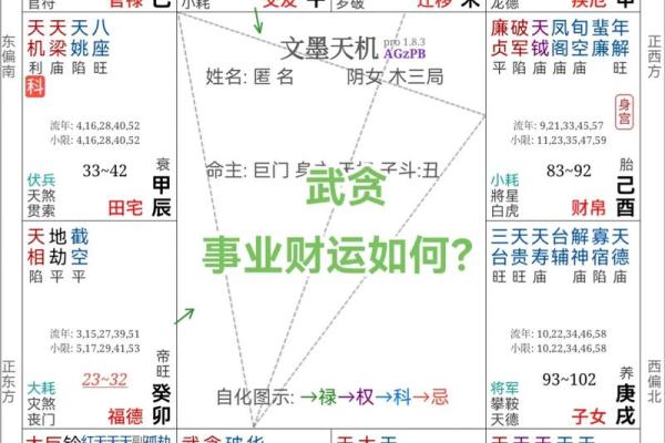 紫薇斗数事业详细解释