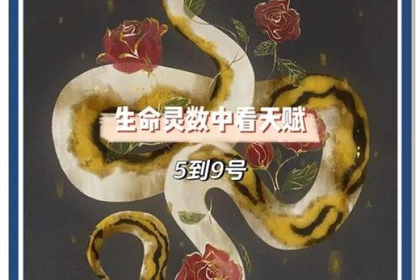 生命灵数2和5配对到老吗