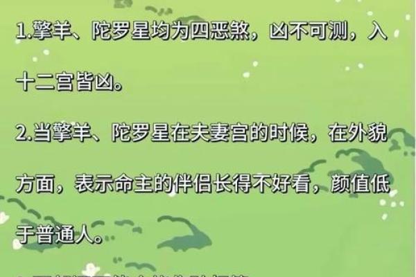 紫薇斗数看婚姻怎么样
