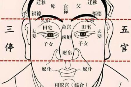 男人面相痣算命图解大全