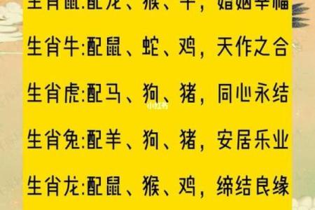 婚姻属相配对大全很准免费 十二生肖婚姻配对表