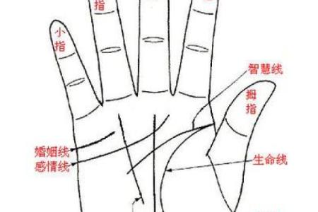 图解;手相赌运纹算命