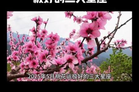 中秋前后12星座谁桃花最旺必看