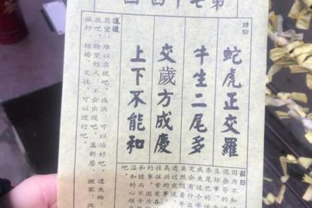 抽签解签月老