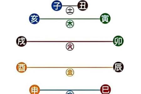 八字地支为亥的女命