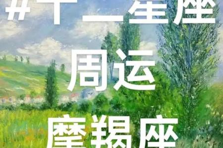 本星期射手座星座运势摩羯