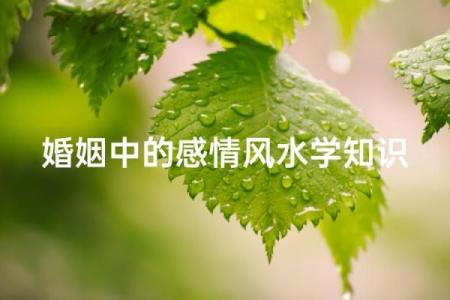 已婚的注意：影响夫妻感情风水