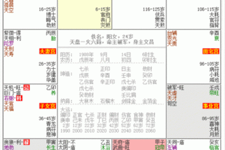 紫薇斗数看谁漂亮