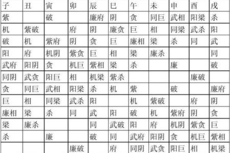 紫薇斗数14颗星代表什么