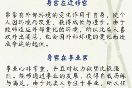 紫薇斗数是什么意思