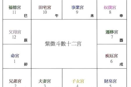 紫微斗数之财帛宫在亥宫 ，是什么意思？