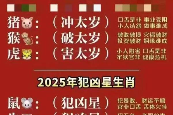 十二生肖：本命方位干净整洁，好运连连