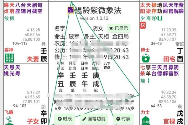 紫薇斗数怎么看命格