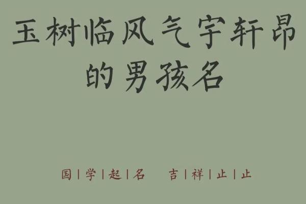 2019年5月4号寅时出生的男孩应该起什么样的名字姓名