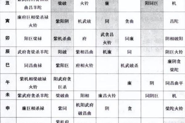 天贵星紫薇斗数