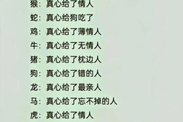 星座和什么属相最合适