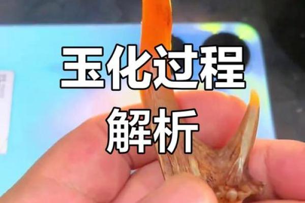 鹿角的风水