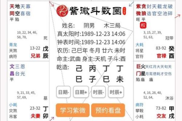 适合当艺术家的紫薇斗数