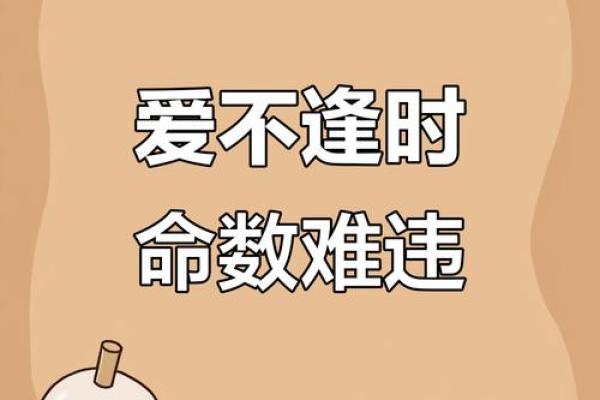 爱情抉择总是出错的星座