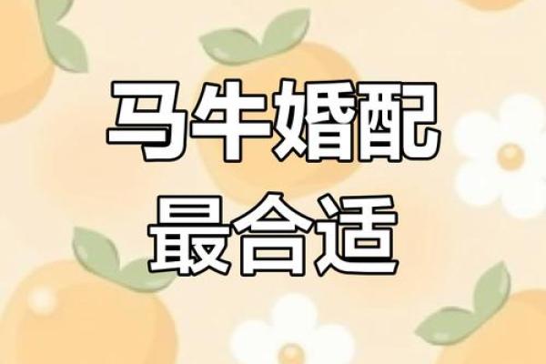 生辰八字牛配对，测算你们的最佳婚姻组合